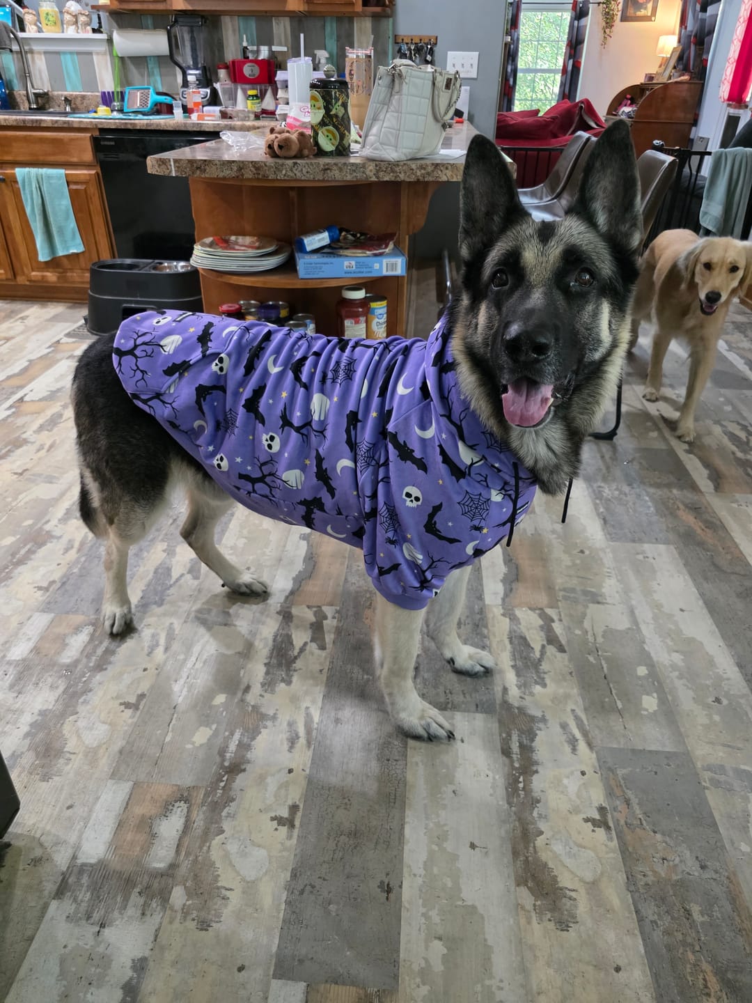 Customer photo review of Halloween Human Hoodies (Limited Edition)