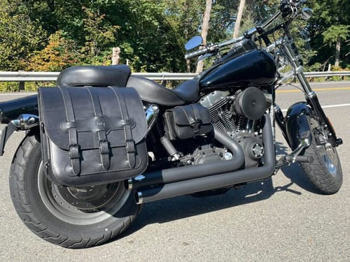 Customer photo review of Universal Motorcycle Saddlebags - US01