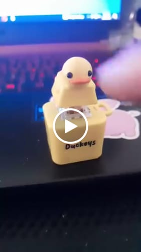 Customer video review of Quackey - Fidget Toy that Quacks!