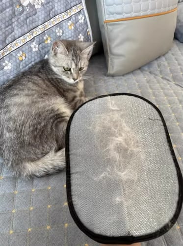 Customer photo review of Gant Anti-Poils Avenia™