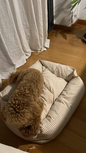 Customer photo review of Cover Cotone Vichy Beige