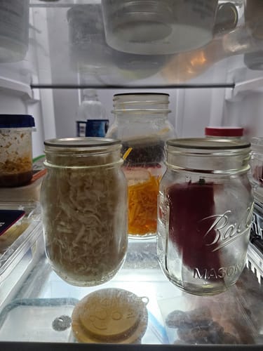 Courtney C. review of Mason Genie® Vacuum Sealer Kit image 1 out of 1