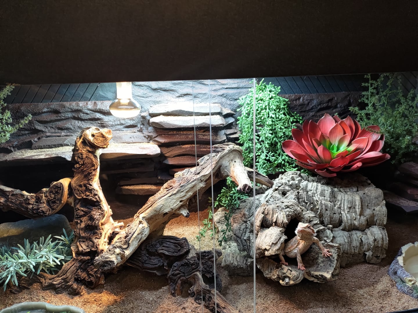 Customer photo review of 48"x24"x24" / 4'x2'x2' Premium PVC Reptile Enclosure