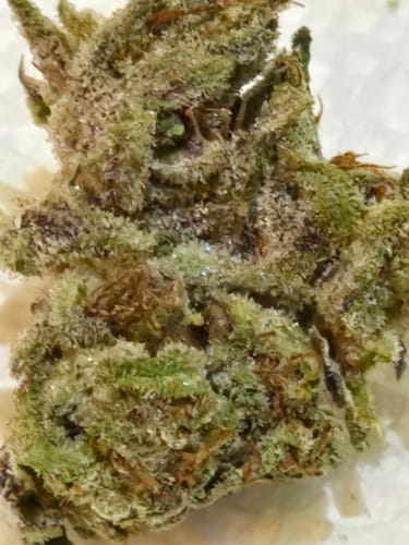 Customer photo review of THCA Queen