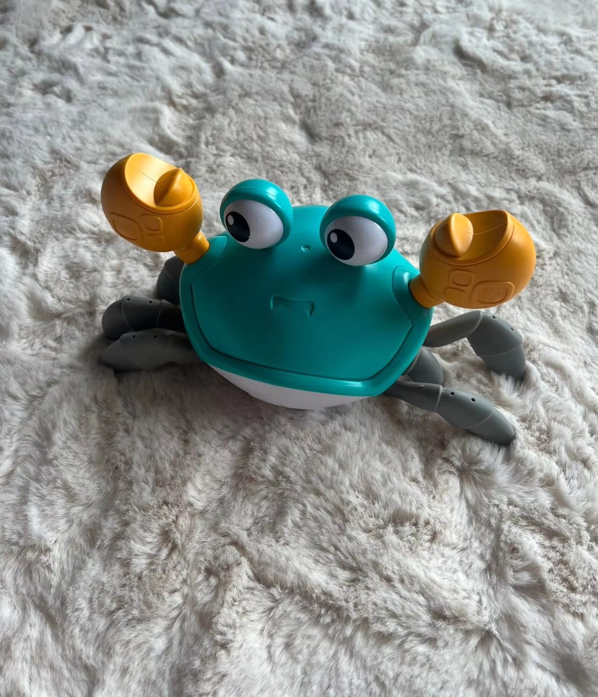 Customer photo review of Crabby - De ultieme uitdaging voor elke hond!