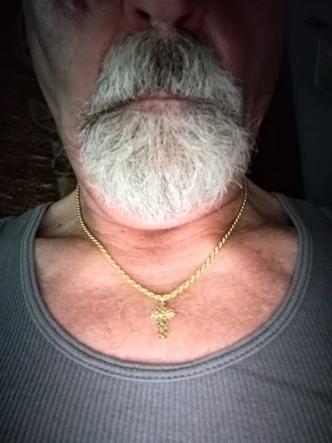 Customer photo review of ROPE 14K GOLD VERMEIL CHAIN