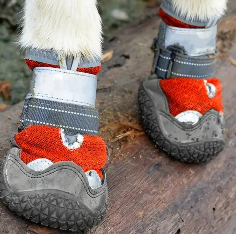 Customer photo review of TrailPaws - Beschermende Antislip Hondenschoenen