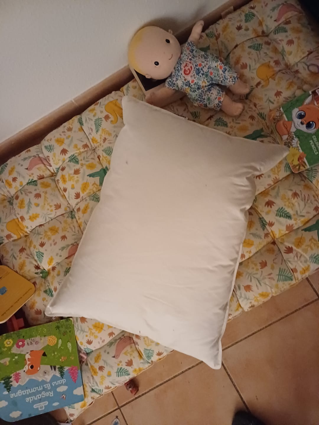 Customer photo review of L'oreiller