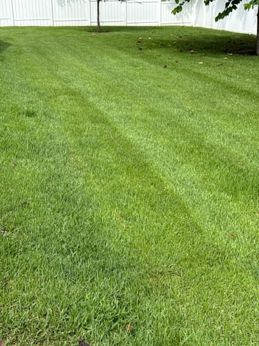 Customer photo review of Chemlawn Spray Nozzle