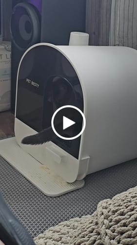 Customer video review of 3 Month Supply - 1 Cat