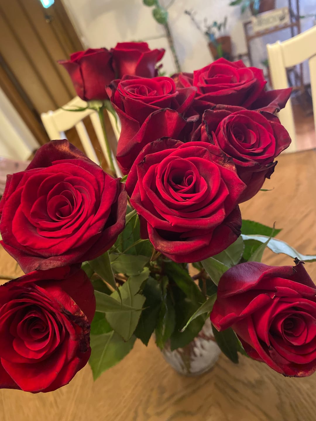 Customer photo review of Black Baccara Red Rose