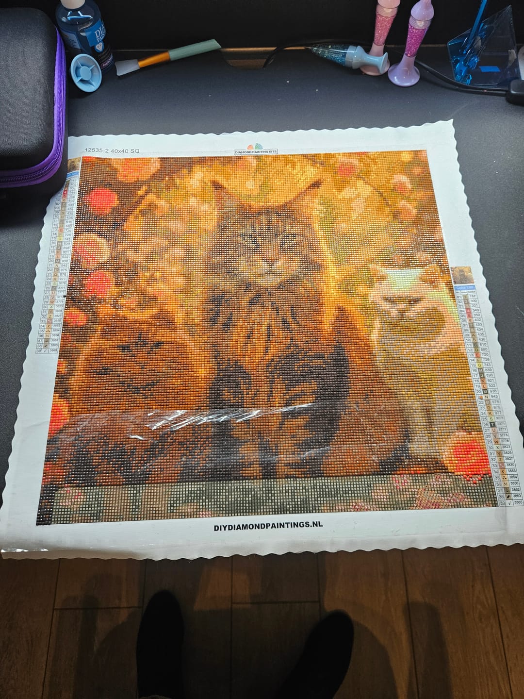 Customer photo review of Diamond Painting Eigen Foto