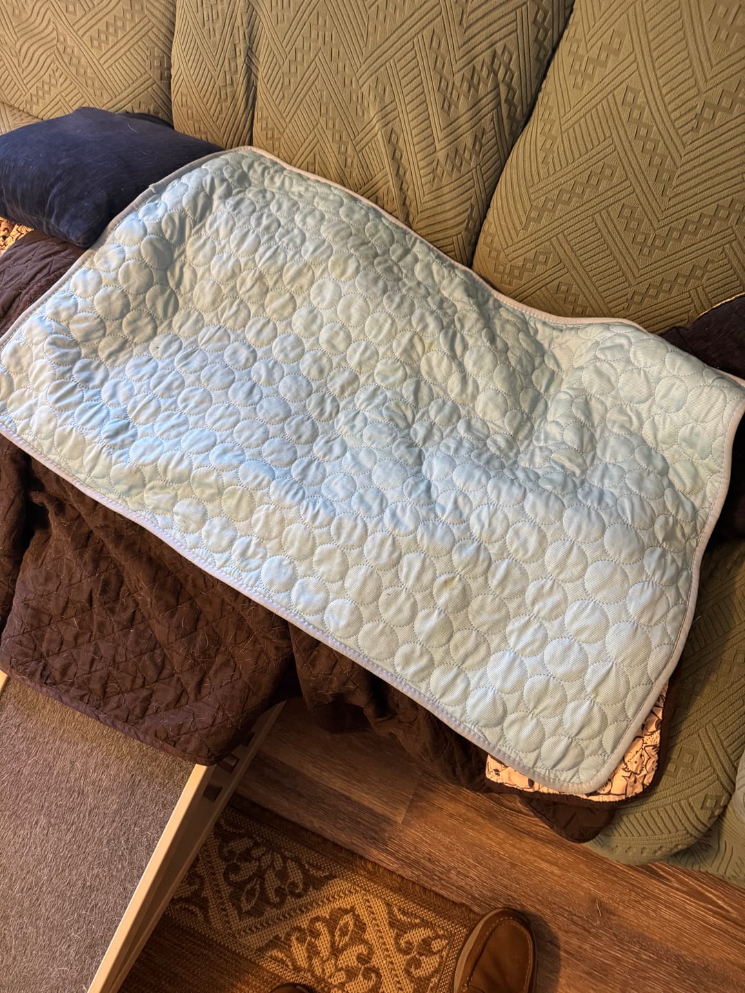 Customer photo review of Pet Silk Cooling Mat