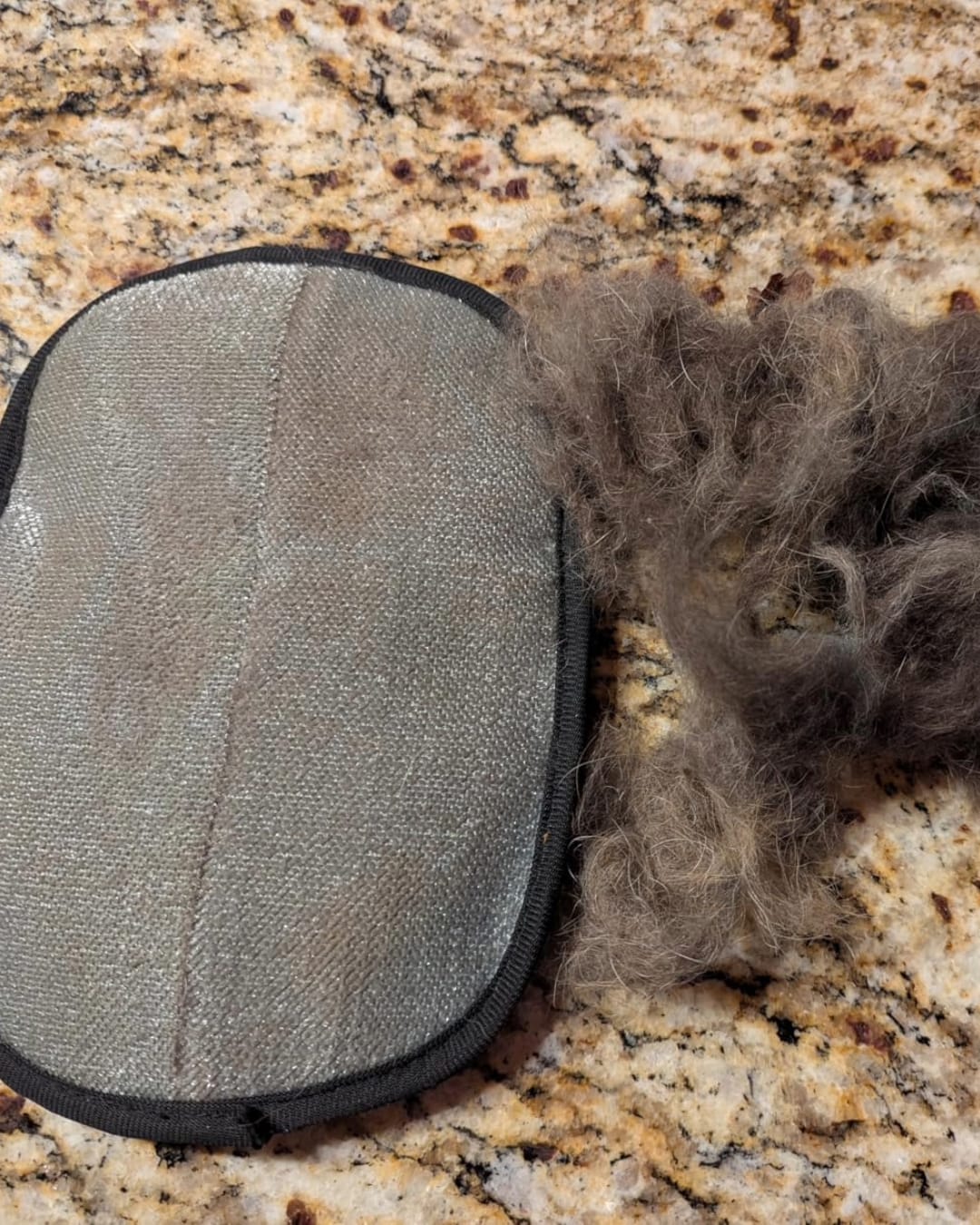 Customer photo review of Hair Magnet Pet Glove