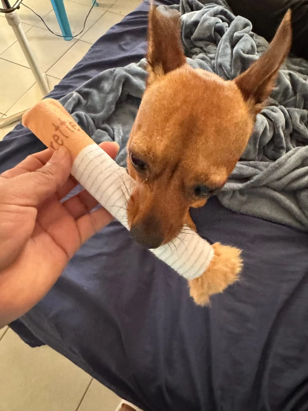 Customer photo review of ChewCigarette - Sterk en Hilarisch Hondenspeelgoed!