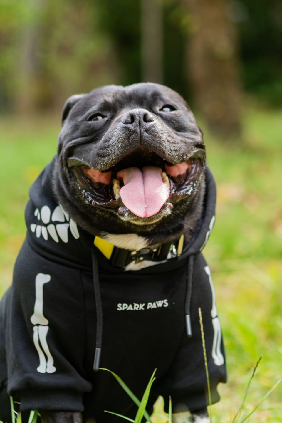 Customer photo review of Halloween Dog Hoodie - Skeleton