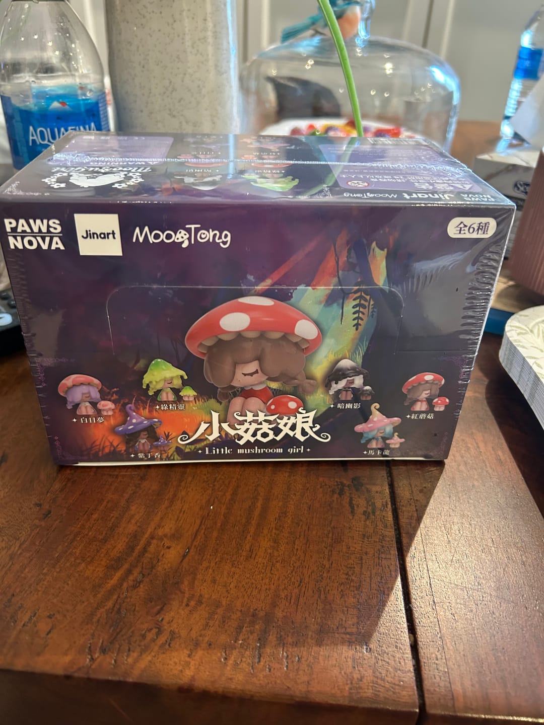 Customer photo review of Moogutong Little Mushroom Girl Series Blind Box