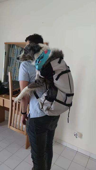 Customer photo review of PawPack - Ergonomische Hondendraagzak Rugzak