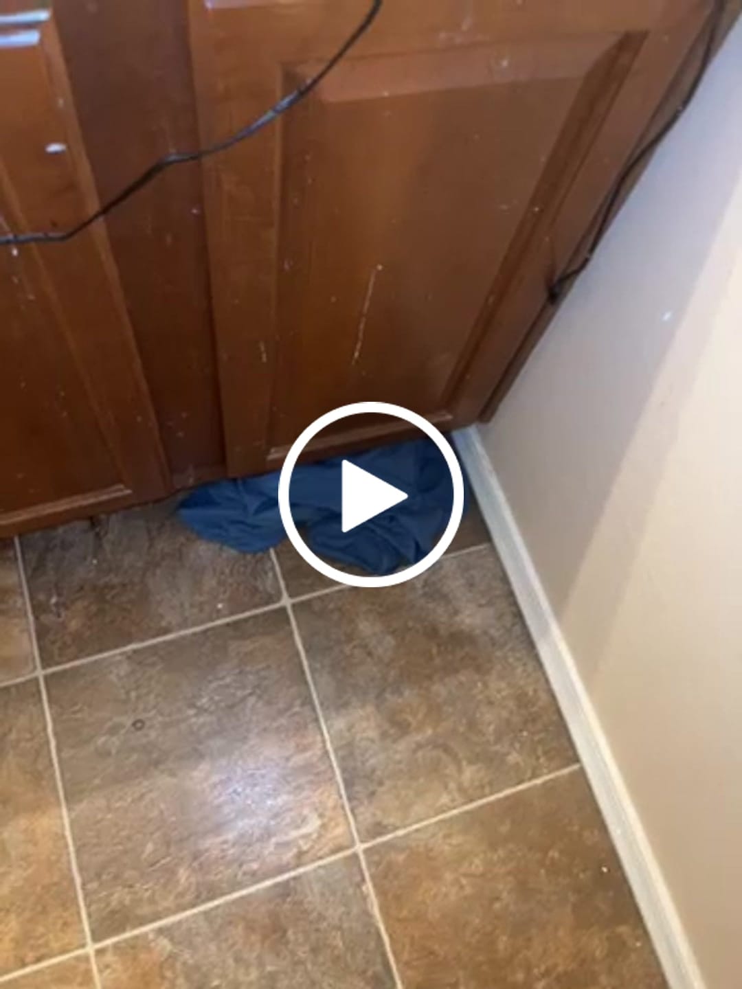 Customer video review of MYSTERY CAN