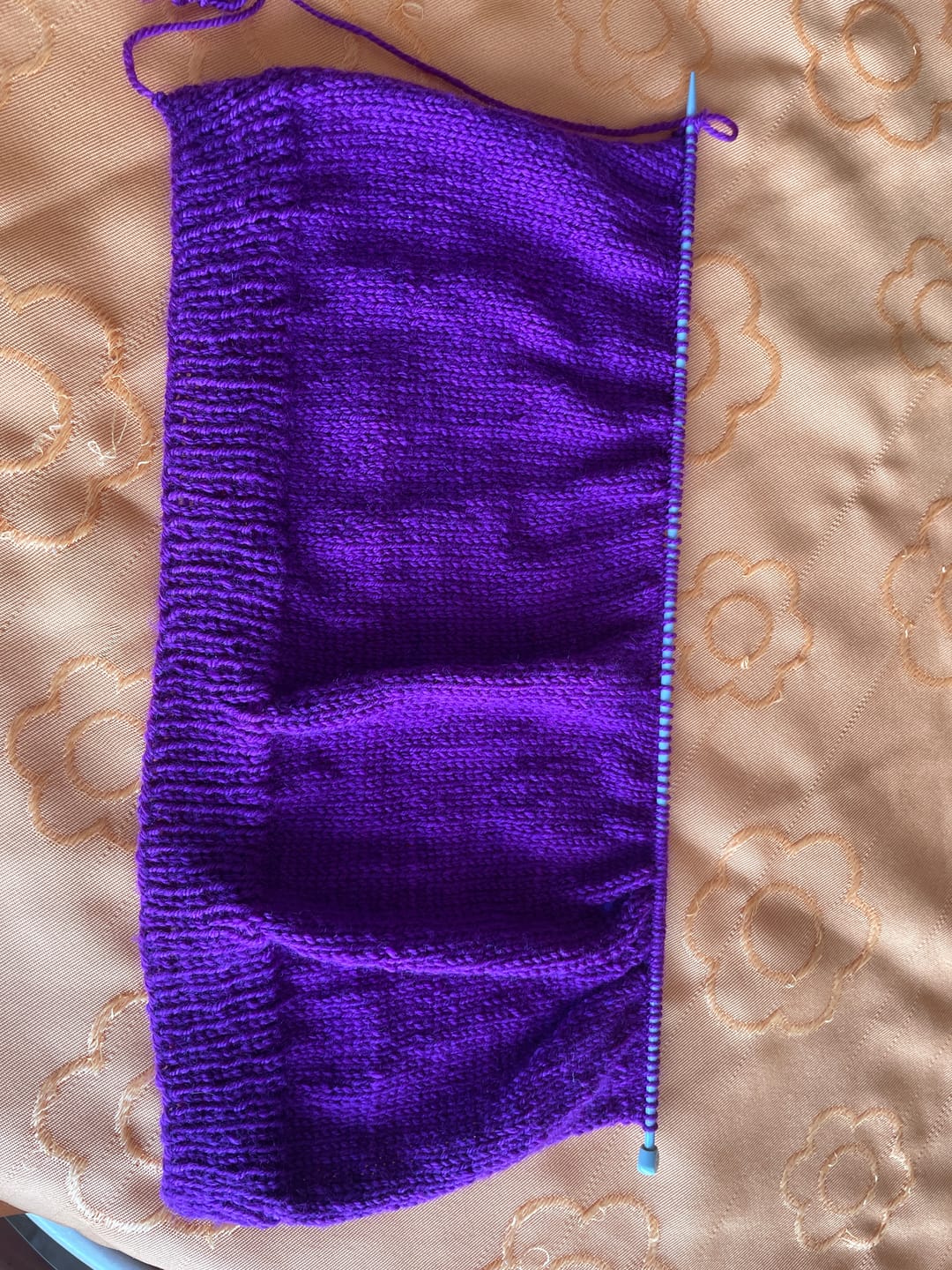 Customer photo review of Alegria  (75% Lana Merino Superwash / 25% Nylon)