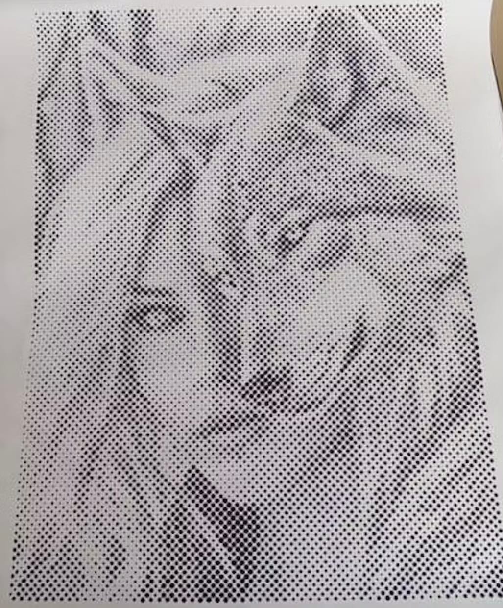 Customer photo review of Woman and Wolf Double Portrait | Dot Painting Kit