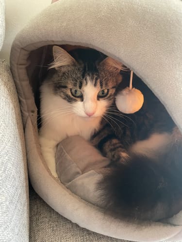 Marcela S. review of Ricarica Diffusore (48 ml) image 1 out of 4