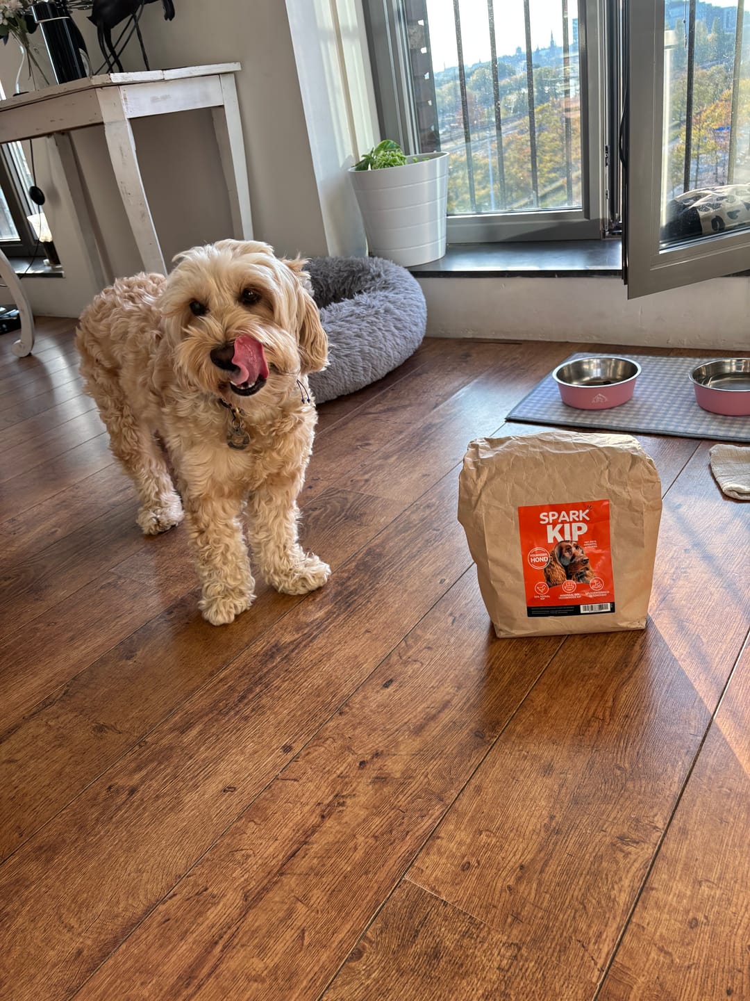 Customer photo review of Volwassen - Kip met Zoete Aardappel & Kruiden