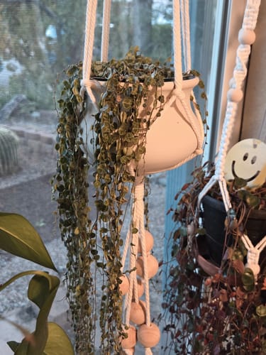 Customer photo review of Hydration Renew