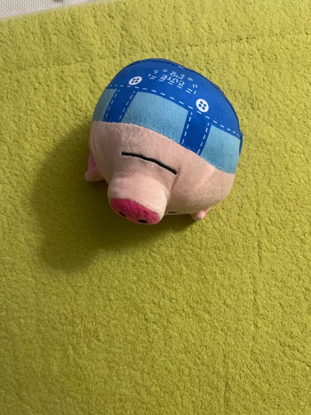 Customer photo review of BouncyBalls - Het interactieve hondenspeeltje
