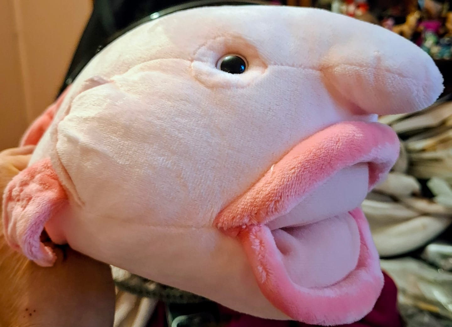 Customer photo review of Blobfish Soft Stuffed Plush Toy