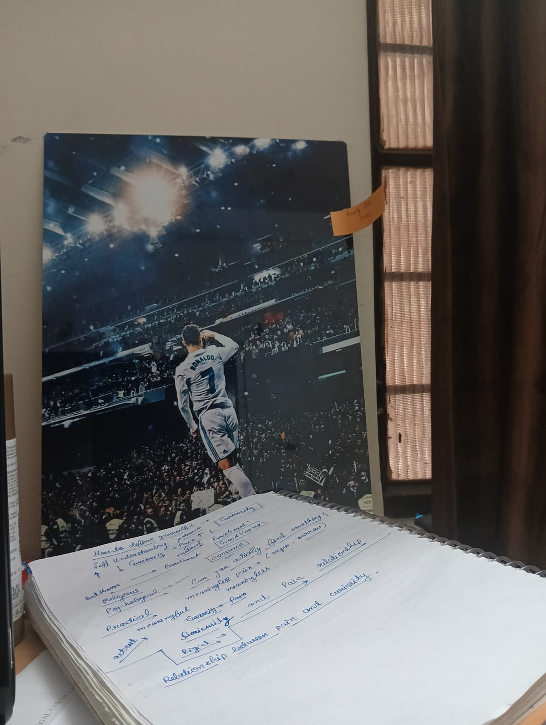 Customer photo review of cristiano ronaldo celebration poster
