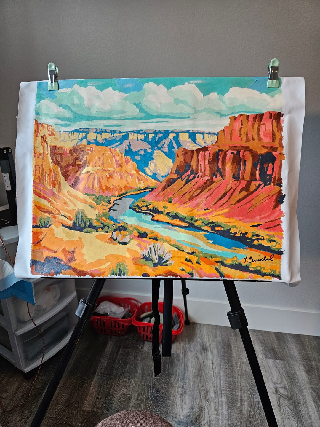 Customer photo review of Grand Canyon National Park