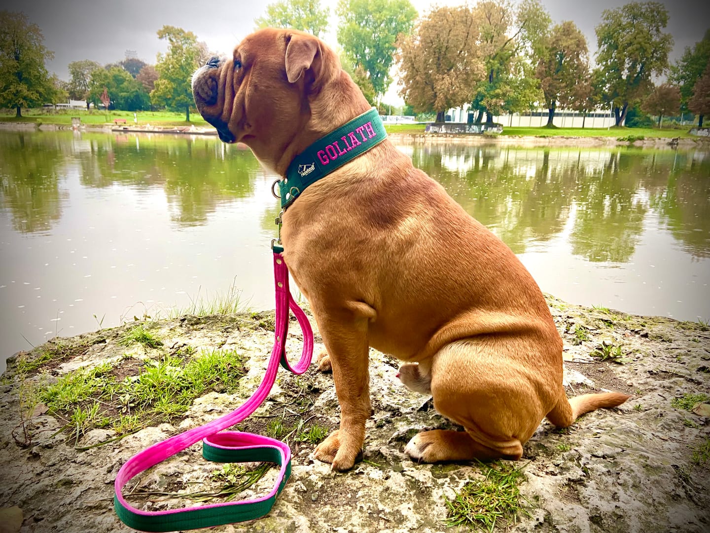 Customer photo review of Hundkoppel med namn