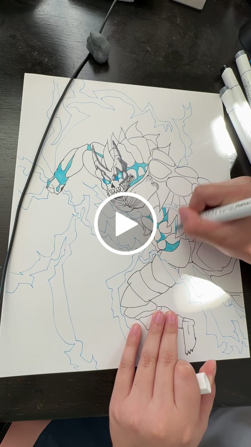 Customer video review of Ohuhu Honolulu 24 Basic Colors Dual Tips Alcohol Art Markers