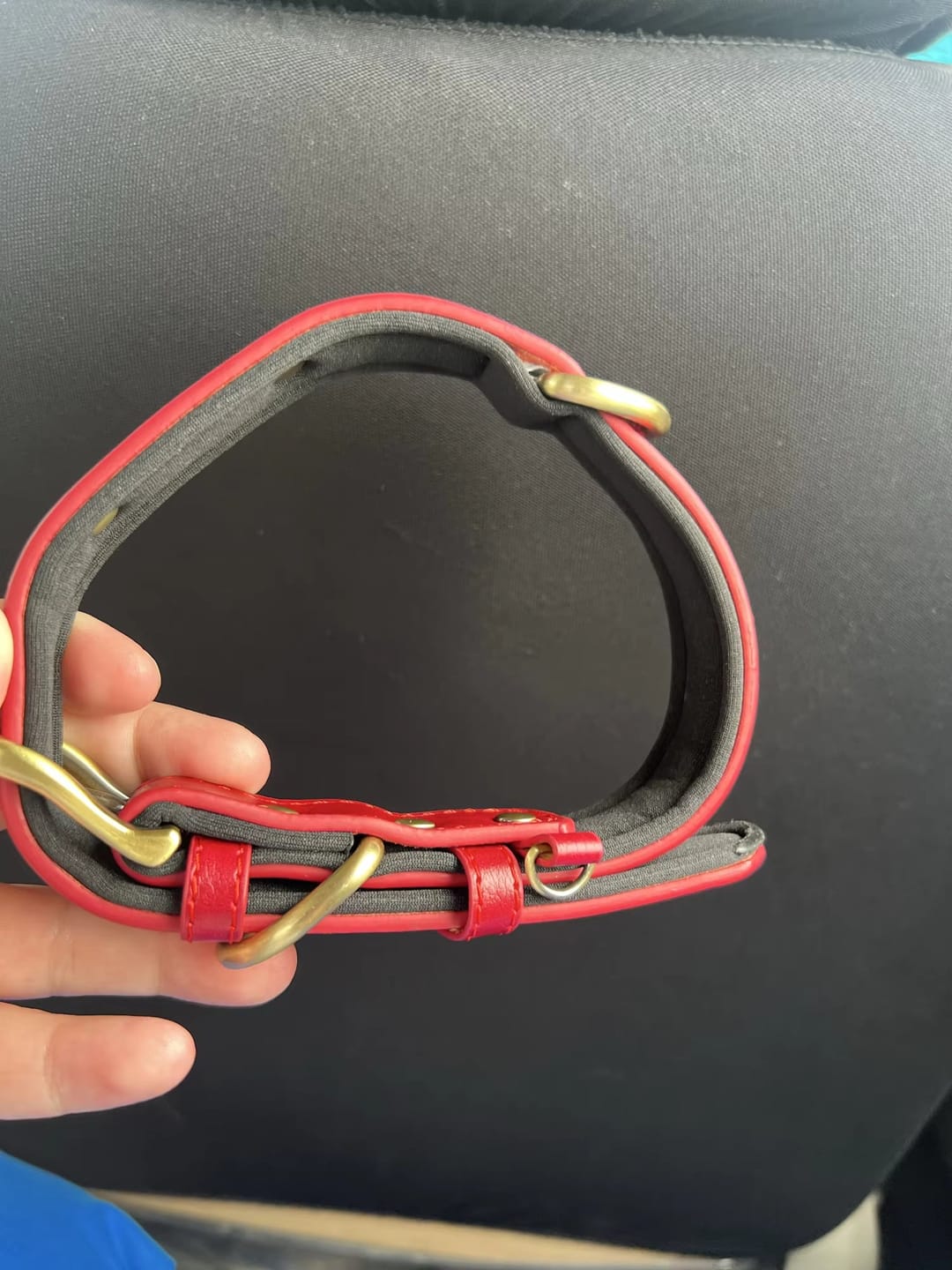 Customer photo review of PawID - Gegraveerde Leren Hondenhalsband