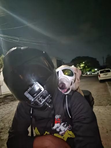 Customer photo review of PawPack - Ergonomische Hondendraagzak Rugzak