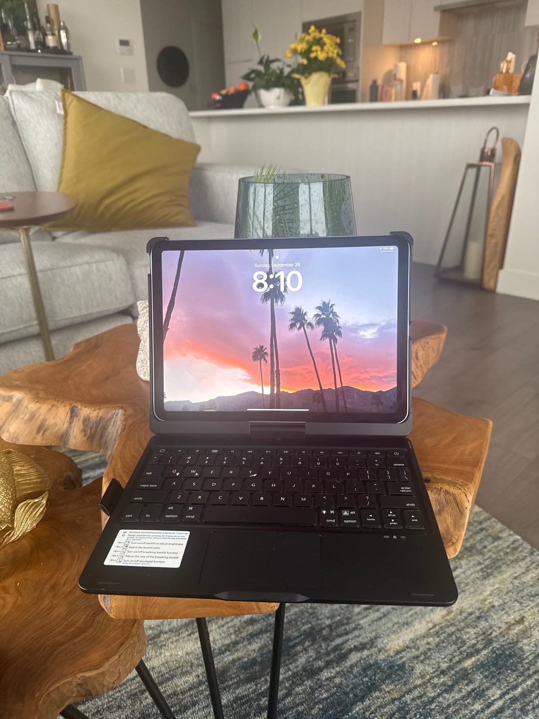 Customer photo review of TypeMate Pro