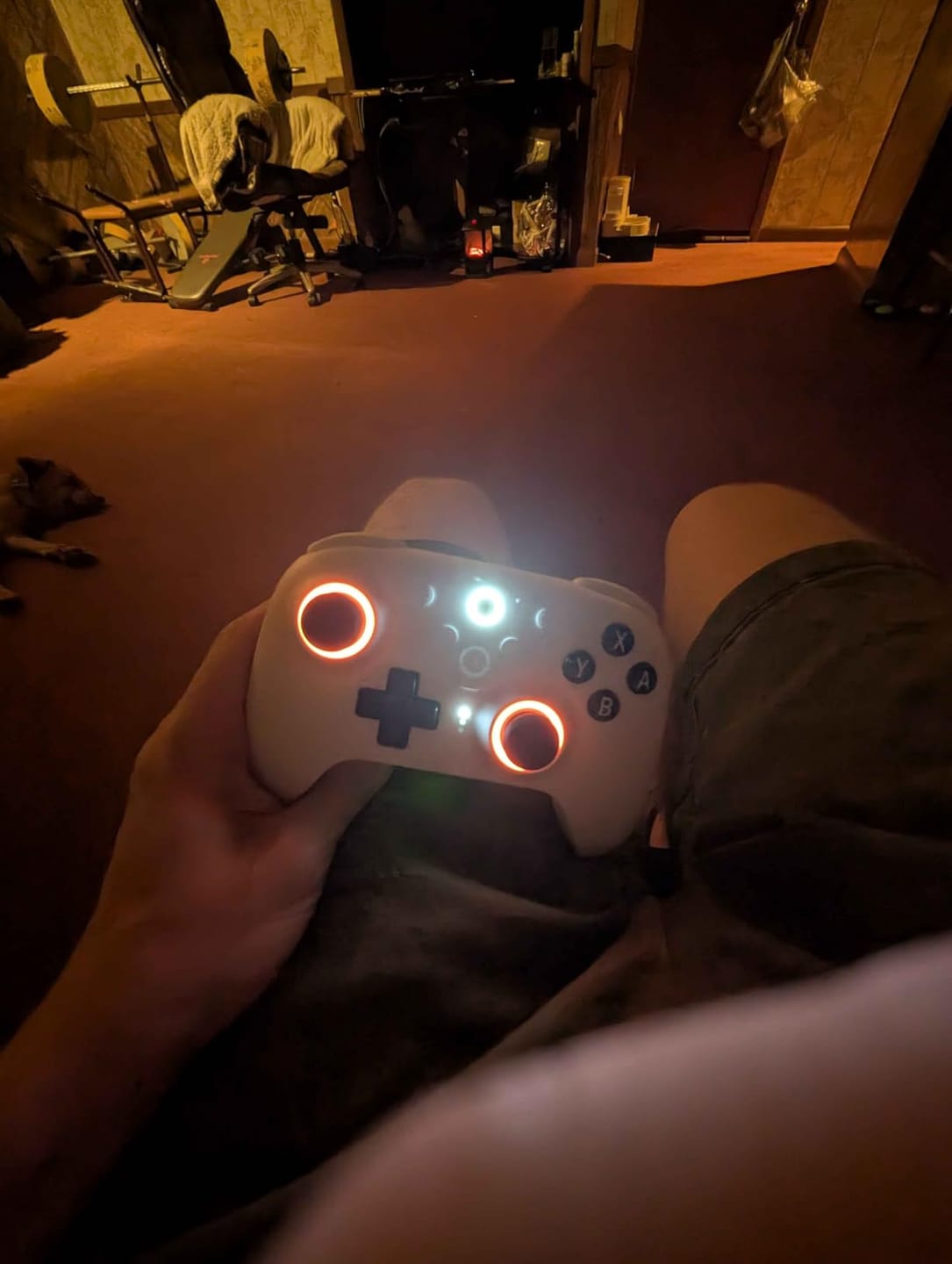 Customer photo review of Mando 8BITDO Ultimate 2 Bluetooth Compatible con PC Switch 1 y 2