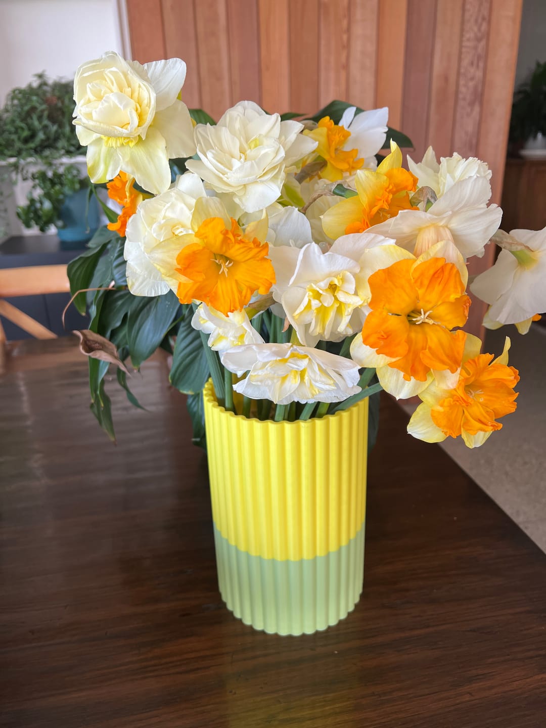Customer photo review of Frankie XL
