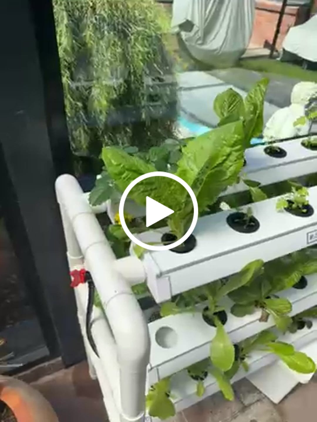 Customer video review of The Salad Table Nutrient 2L Complete Kit
