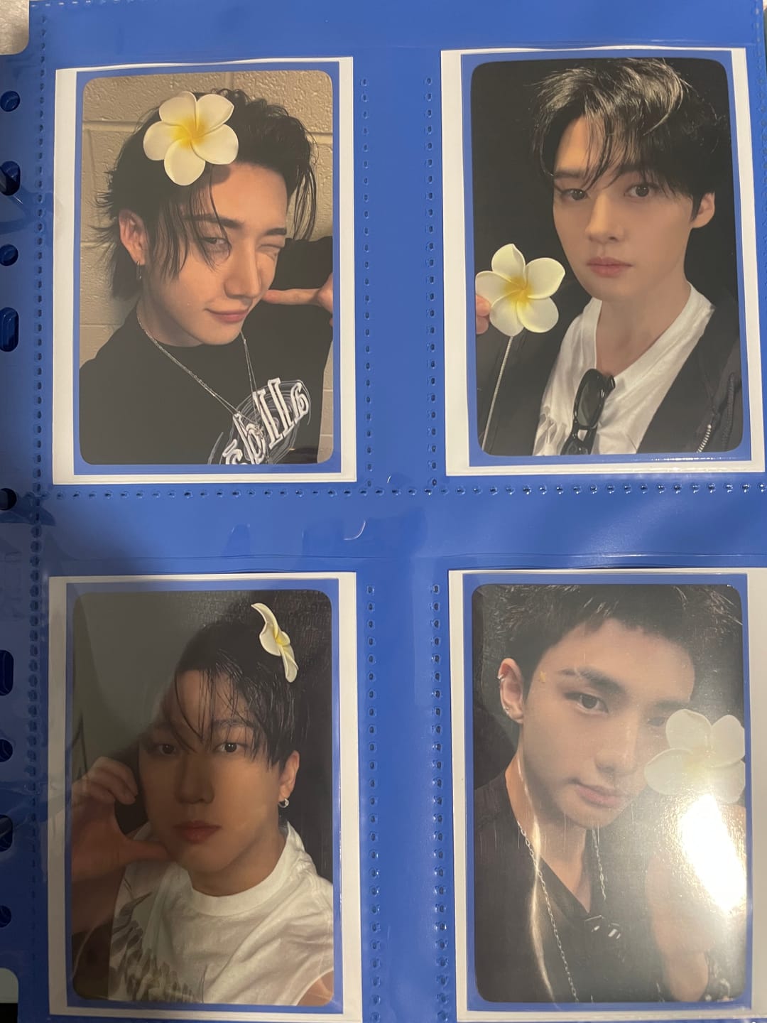 Customer photo review of Custom A5 4-Pocket Pages - Standard Photocard - Colored