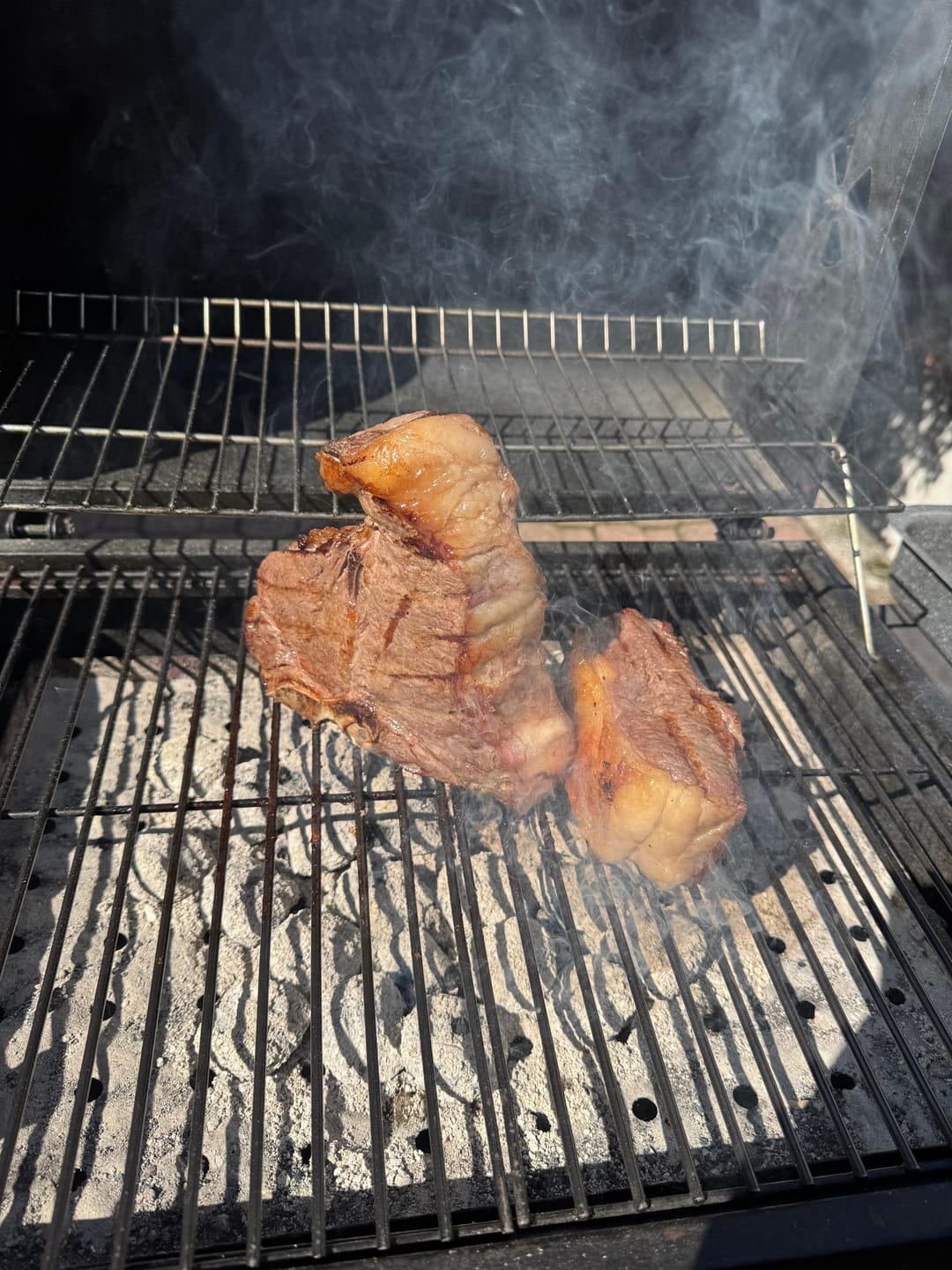 Customer photo review of NEW - Fiorentina de Mòisonne