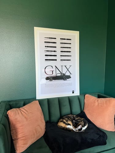 Customer photo review of "GNX"