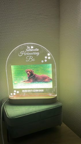 Customer photo review of In liefdevolle herinnering hond/kat ledlamp