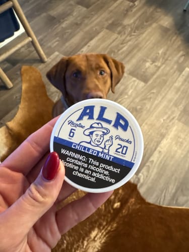 Customer photo review of Chilled Mint Nicotine Pouches