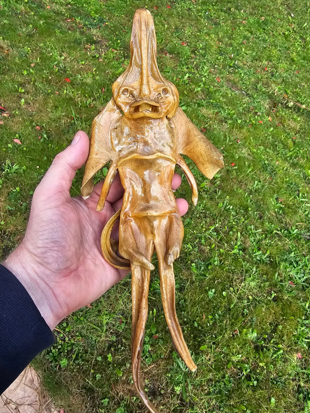 Customer photo review of JENNY HANIVER 1