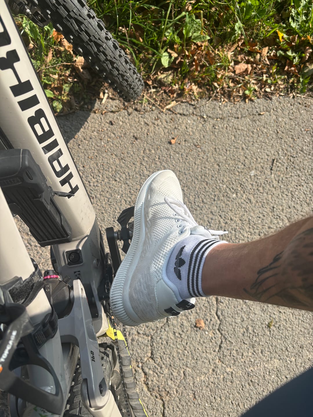 Customer photo review of ELEVATESHOES ACTIVE