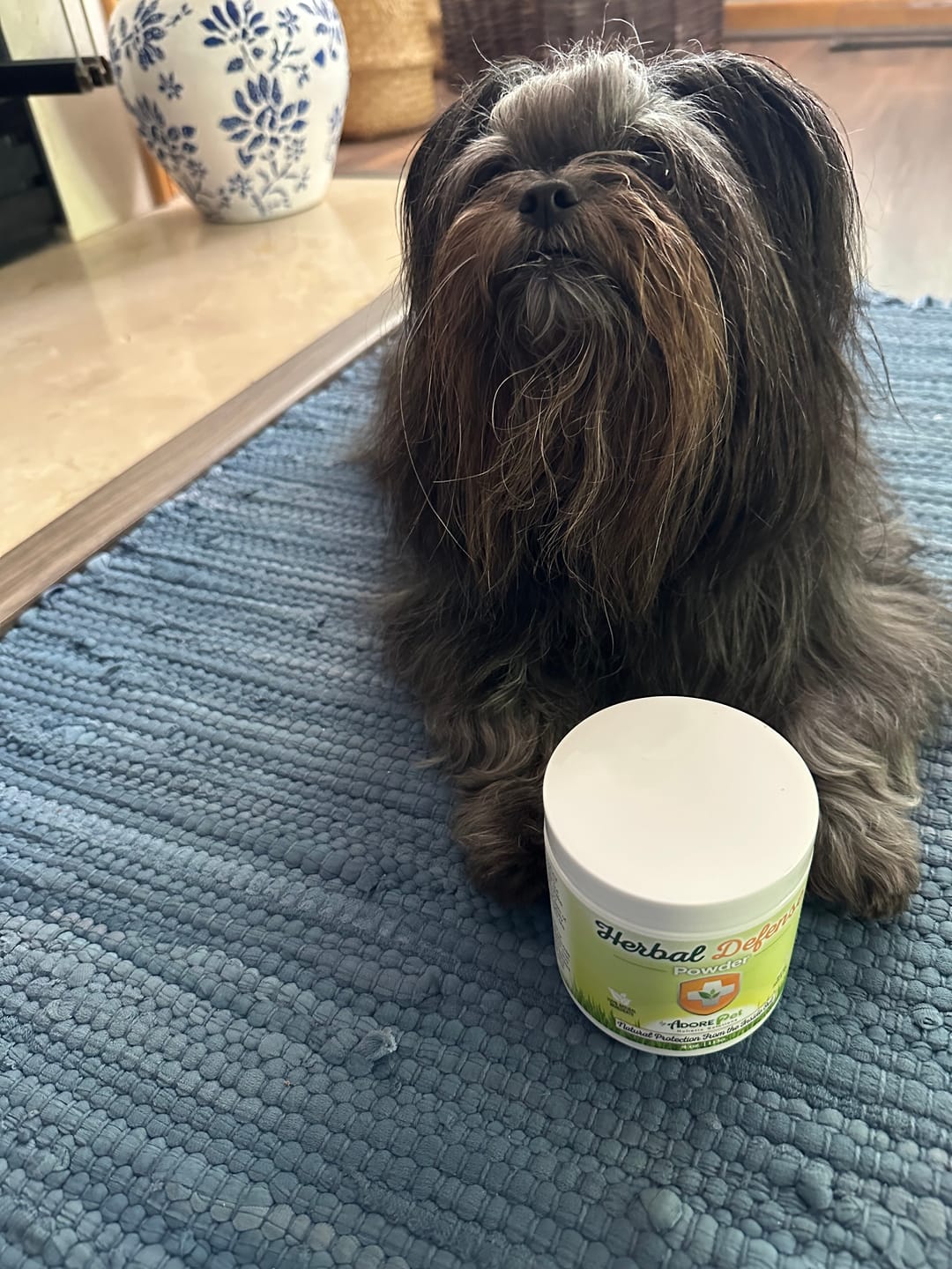 Customer photo review of Herbal Defense Powder