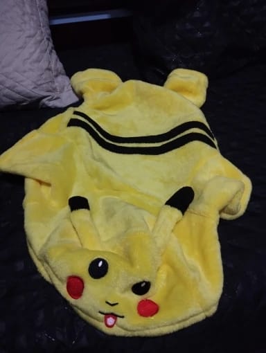 Customer photo review of Pika Pika Costume