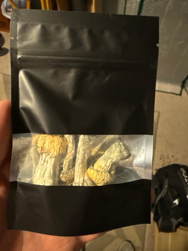 Customer photo review of Non Detect Mushroom Capsules - 50% Off